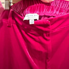 Load image into Gallery viewer, Skies are Blue Pink Velvet Trousers size 1X
