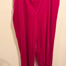Load image into Gallery viewer, Skies are Blue Pink Velvet Trousers size 1X
